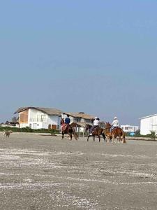 um grupo de pessoas a cavalo num parque de estacionamento em ZAFIRO CHINCHA® Casa de Lujo Piscina frente al mar em Casa Blanca