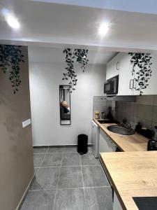 een kleine keuken met een wastafel en een aanrecht bij Le Japandi - Cosyloc Agency - Aux Portes de Paris in Pantin