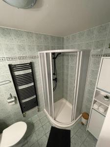 uma casa de banho com um chuveiro e um WC. em Apartmány Luhačovice em Luhačovice