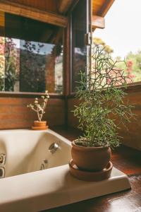 Un baño de Casa Pedacinho de Céu com banheira de hidromassagem e lareira