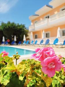 a group of pink flowers in front of a swimming pool at Daphne Studios in Tsilivi