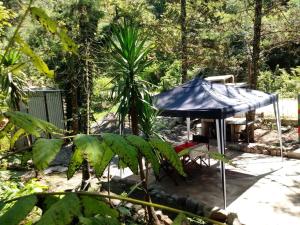 a picnic shelter with a blue umbrella and a palm tree at Cabaña Bus LUYHANE in Yala
