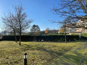 einen Hof mit zwei Bäumen im Gras in der Unterkunft Appart 41 Montbéliard: calme et cosy + piscine in Sainte-Suzanne