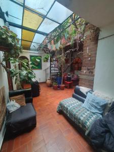a living room with a couch and some plants at Hospedaje Frankenstein in Cusco