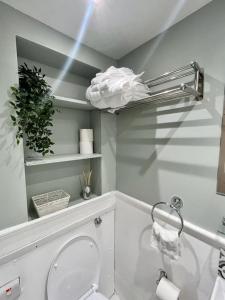 a bathroom with a toilet and a shelf with a plant at Studio in Pimlico, Westminster in London