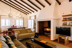 a living room with a couch and a fireplace at Monte do Alento - Castro da Cola in Alcaria