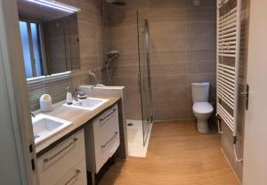 ein Bad mit einer Dusche, einem Waschbecken und einem WC in der Unterkunft SUBLIME APPARTEMENT in Provins