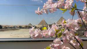 una finestra con fiori di pinkakura di fronte a una spiaggia di Rizk Pyramids View Hotel a Il Cairo