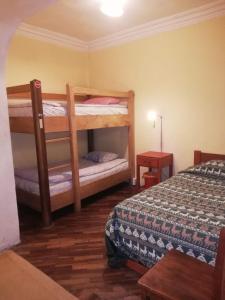 Postelja oz. postelje v sobi nastanitve Royal Frankenstein Hostel