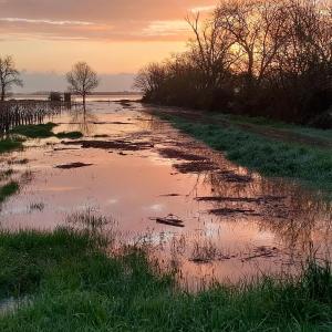 ein großer Wasserkörper mit Sonnenuntergang im Hintergrund in der Unterkunft Casa Tranquila Cerca el Estuario in Pauillac