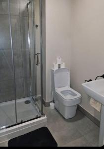 a bathroom with a shower and a toilet and a sink at 1-bed flat near Romford station in Romford