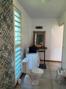 a bathroom with a white toilet and a mirror at Rotui Lodge in Paopao