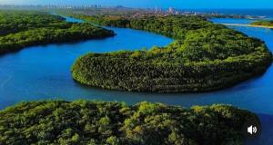 an island in the middle of a river at RECANTO DO SOL SABIAGUABA CEARA in Fortaleza