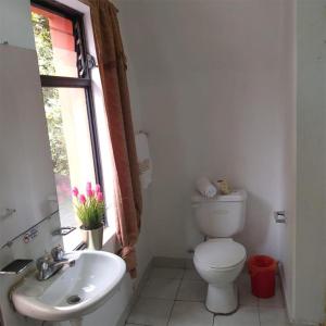 Vonios kambarys apgyvendinimo įstaigoje Whipala Hostal