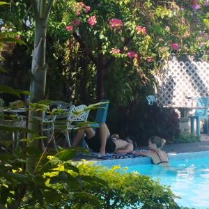 duas pessoas numa piscina com um livro em Chambres en Ville em David