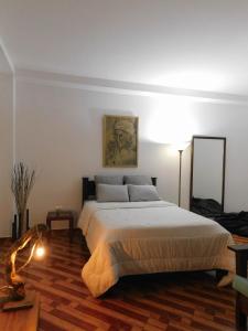 1 dormitorio con 1 cama grande en una habitación en Hostal Santa Teresita, en La Merced
