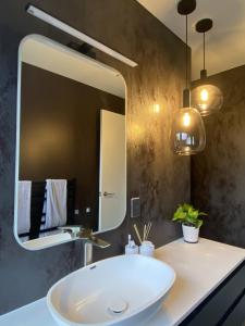 uma casa de banho com um lavatório e um espelho grande em Stylish Spacious St Kilda em Cambridge