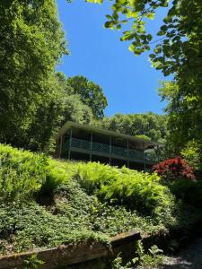 un edificio in mezzo a un giardino con cespugli di Spring Valley Villas a Swiss