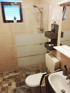 a bathroom with a toilet and a sink at Apartments with parking space Supetarska Draga - Gonar, Rab - 22586 in Rab