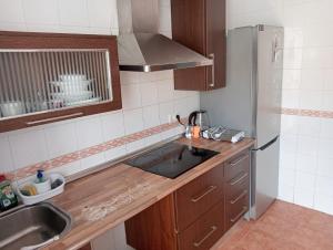 a small kitchen with a sink and a refrigerator at ALBORADA TRES in Burguillos +18 photos