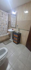 a bathroom with a toilet and a sink and a shower at Casona Los Coihues in Tolhuin +11 photos