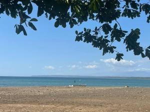 una playa con un barco en el agua en Pura Vida Macaw Paradise en Jacó