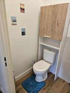 ein kleines Bad mit einem weißen WC und einem blauen Teppich in der Unterkunft Appartement élégant et bien situé in Biscarrosse