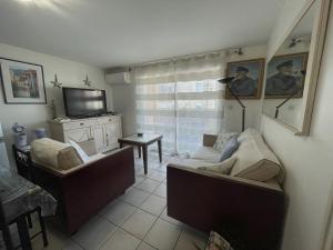 a living room with a couch and a tv at Appartement confortable au centre de Banyuls, à 300 m de la plage, idéal pour 4 personnes - FR-1-309-5 in Banyuls-sur-Mer