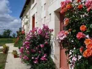 Κήπος έξω από το Gîte de charme en Touraine du Sud avec cheminée, jardin clos et équipement bébé, proche Loches - FR-1-381-40