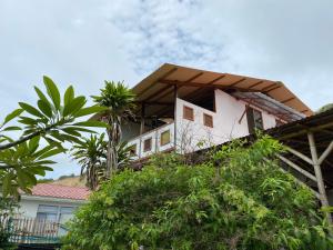 a house on top of a hill with trees at Jardin Pacifico in Canoa