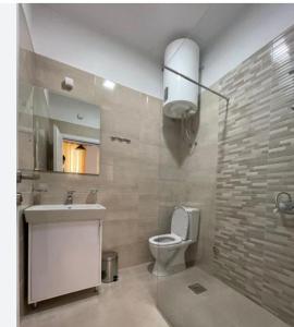 W łazience znajduje się toaleta, umywalka i lustro. w obiekcie *Ana Maria*Hostel/rooms&bunk bed w mieście Podgorica