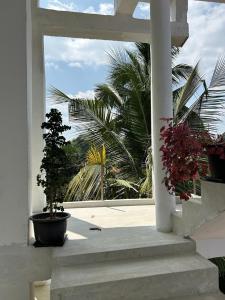 a potted tree sitting on a porch with a window at Villa Calton 32 Villa in Weligama Bay in Weligama