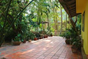 a walkway with a bunch of potted plants on it at Casa Kep Eco Bed & Breakfast in Kep