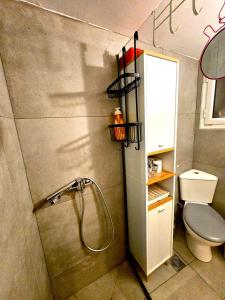 a bathroom with a shower with a toilet and a sink at Plato's Academy Home in Athens