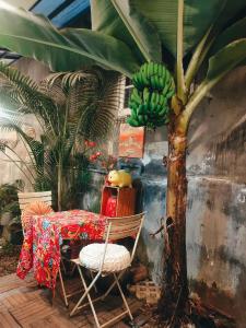 a table and chairs with a tree with bananas at Ngày Tháng 5 - MayDay in Da Lat