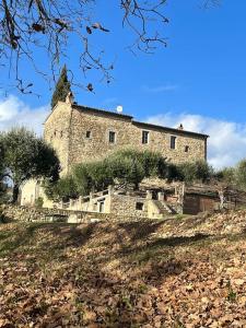 モントーネにあるAppartamento nel castello del cardanetoの木立の丘の上の大きな石造り