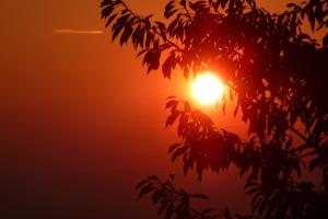Pogled na izlazak ili zalazak sunca iz ili blizu of the bed and breakfast