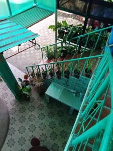 una vista elevada de un patio con macetas en Good for 15pax excess charge 350 per head, en Tagbilaran City