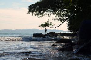 a person fishing on the shore of a beach at Green View Weligama in Weligama