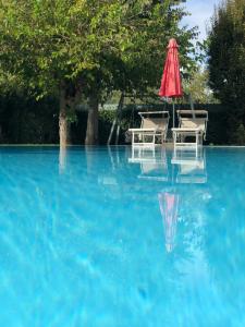 Bazén v ubytování B&B casa Belvedere nebo v jeho okolí