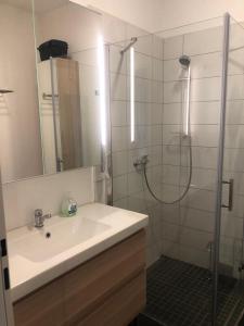 ein Bad mit einem Waschbecken und einer Dusche in der Unterkunft Luna Apartments in Wien