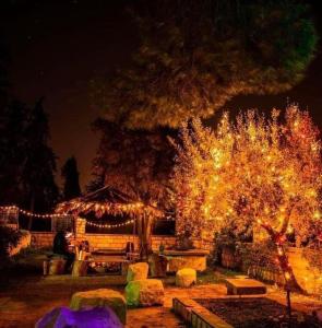 un jardin avec des lumières de Noël sur les arbres la nuit dans l'établissement Villa Julia Veneria, à Sicca Veneria