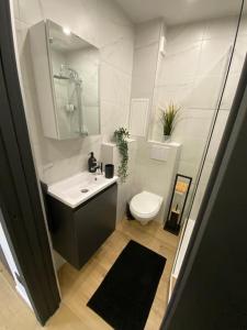 a bathroom with a sink and a toilet at BLACK TOUCH STUDIO - FIBRE*PARKING*NEAR BASEL in Saint-Louis