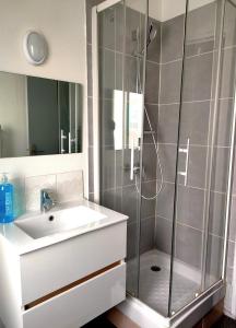 łazienka z prysznicem i umywalką w obiekcie Grand studio hypercentre - proche plage & gare w Hawrze