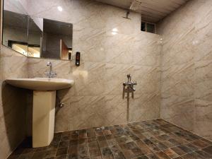 uma casa de banho com um lavatório e um espelho em Hotel Savera em Udaipur