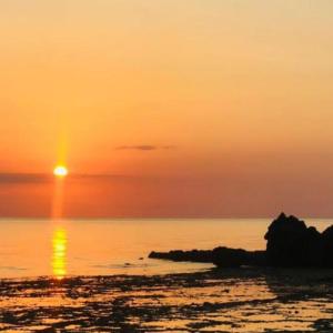 a sunset over the ocean with a rock in the water at Sea Hotel in Pangani