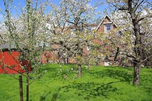 una casa con un patio con árboles delante de ella en Knubberhaus Das Ferienhaus im Kirs, en Steinkirchen