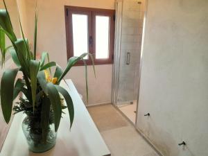 un baño con un jarrón con una planta en un mostrador en Can Galeri, en Es Carritxo