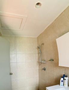 a bathroom with a shower and a sink at Saralee’s House in Toula