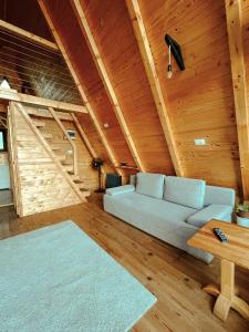 Ruang duduk di A Frame Cabin - Valea Vinului